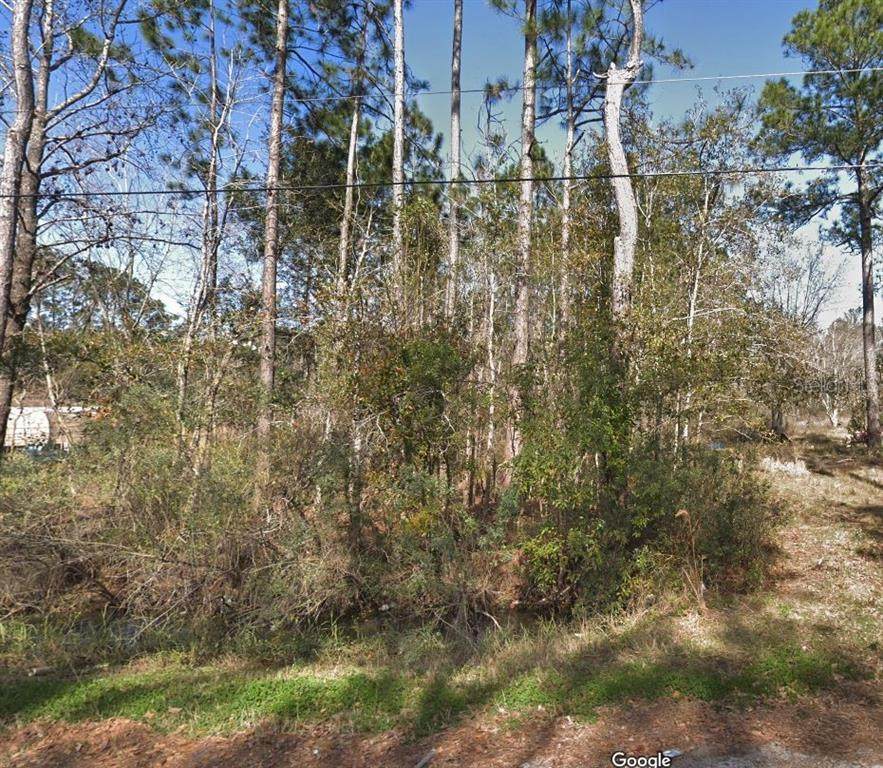 0 Deerwood Circle - Photo 1