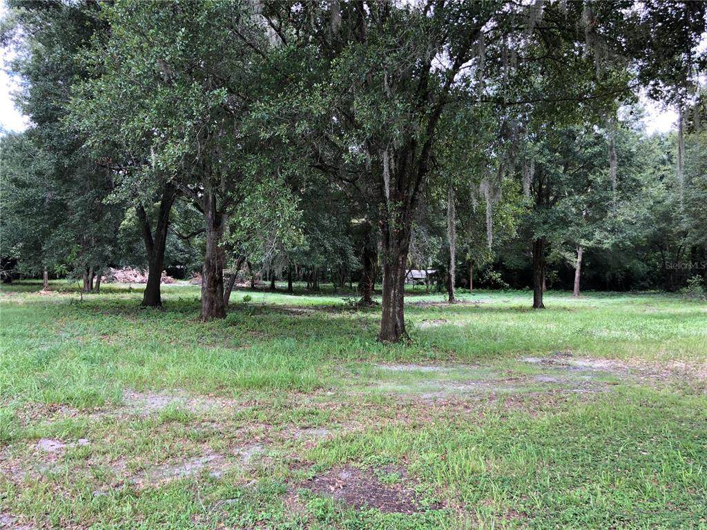 Oak Avenue - Photo 1
