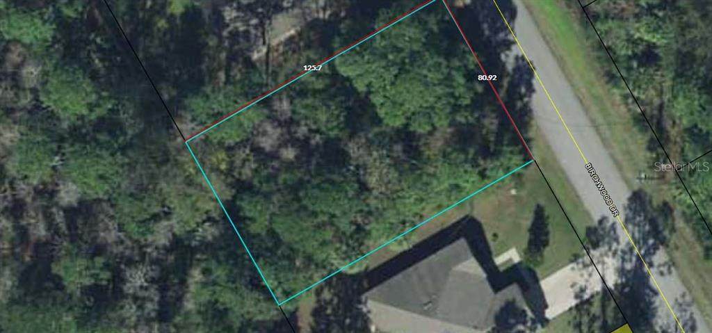 22 Birchwood Drive - Photo 1