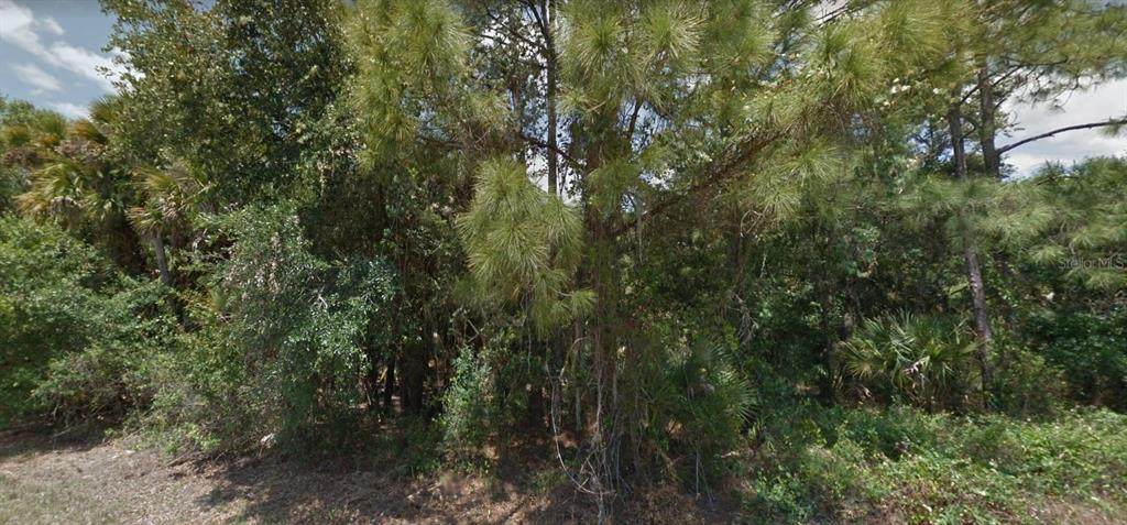 Landry Avenue - Photo 1