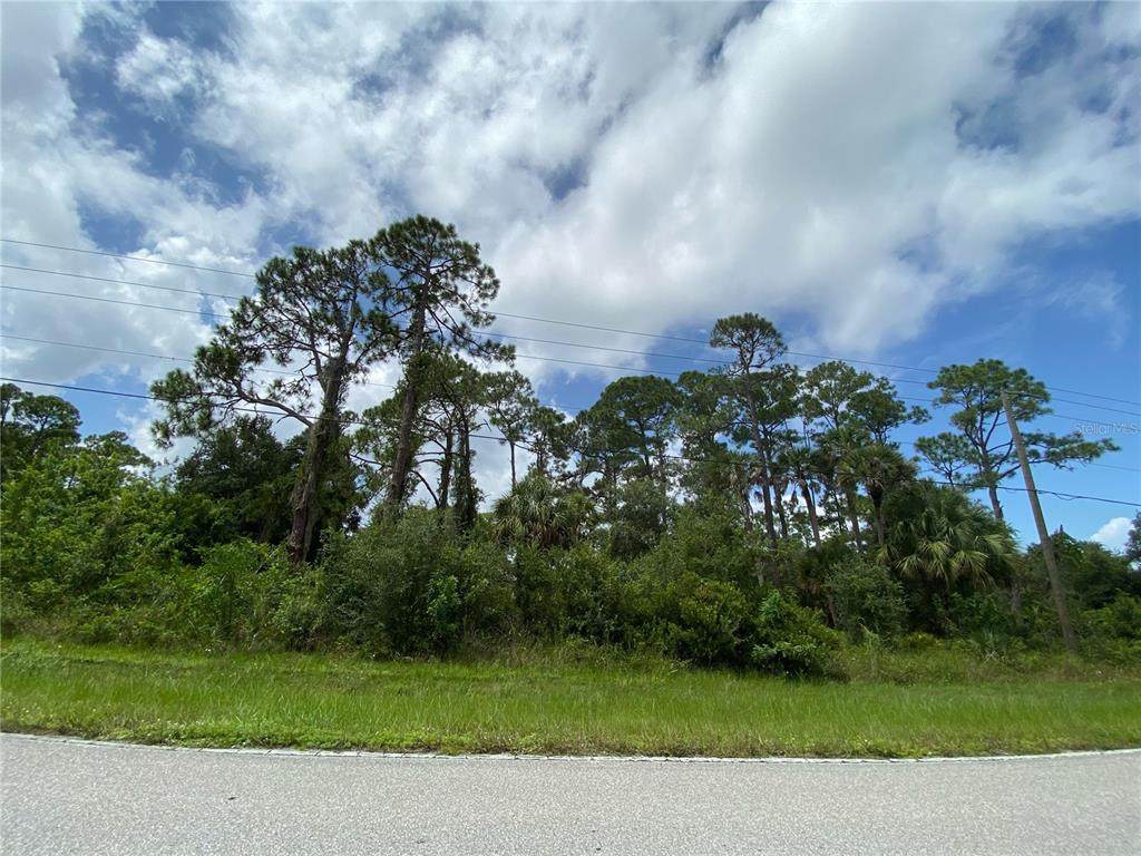 17526 Cage Street - Photo 1
