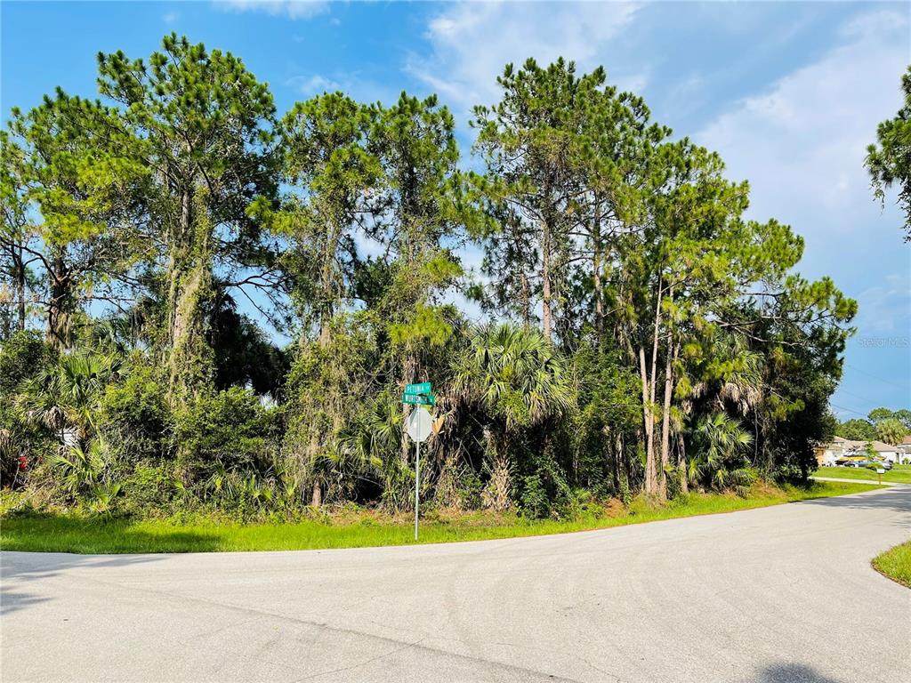 Lot 47 Petunia Terrace - Photo 1