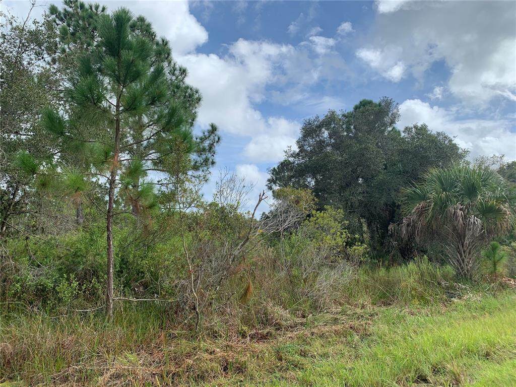 1180 Davenport Drive - Photo 1