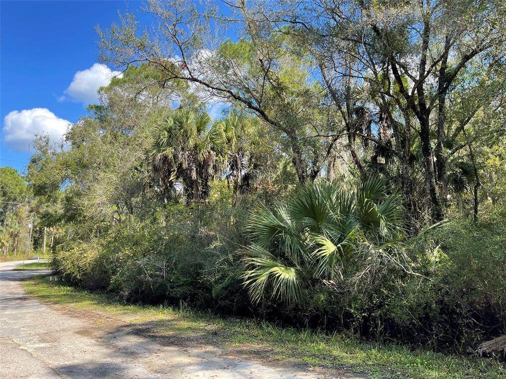 5925 Summerlake Point - Photo 1