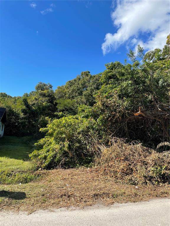 2206 Park Road - Photo 1