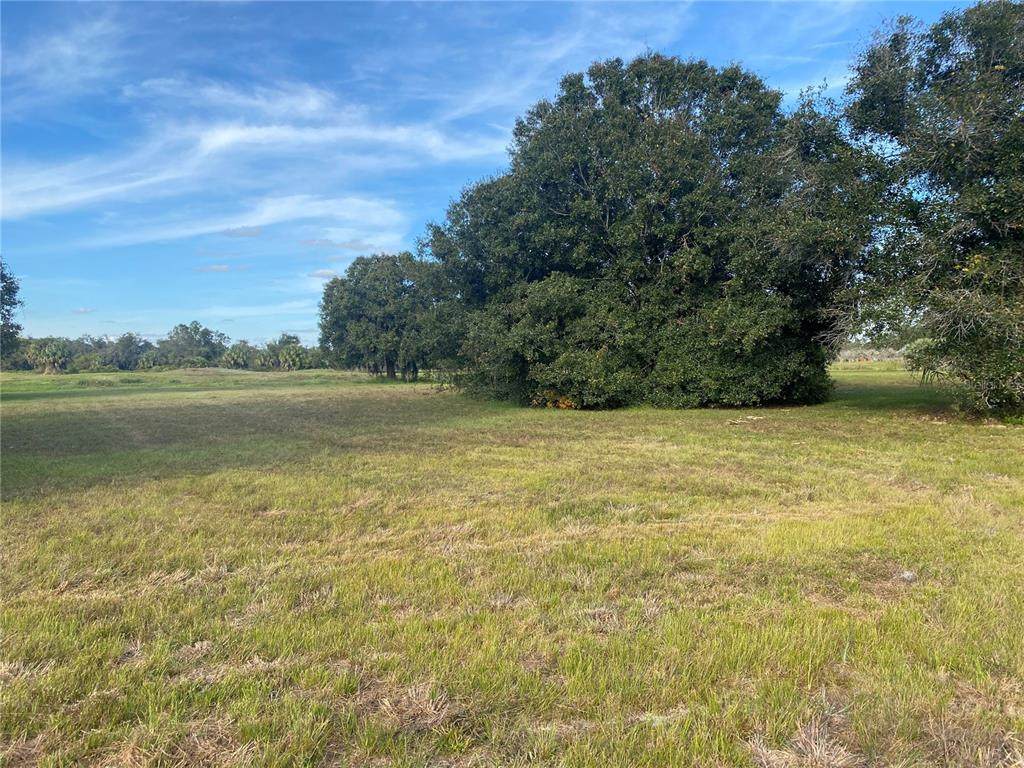 8174 Aviary Road - Photo 1