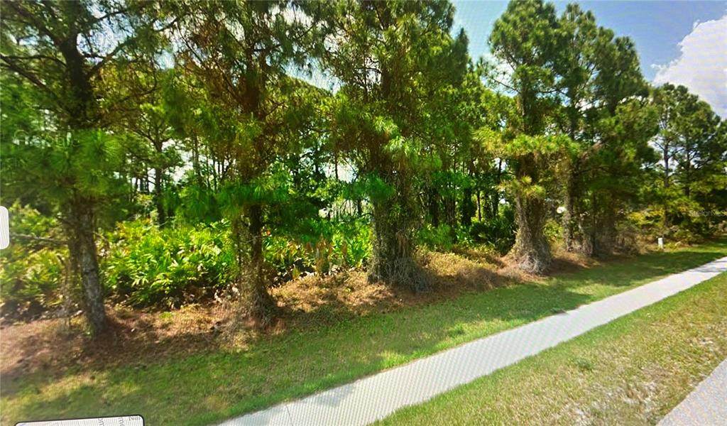 Jeannin Drive - Photo 1