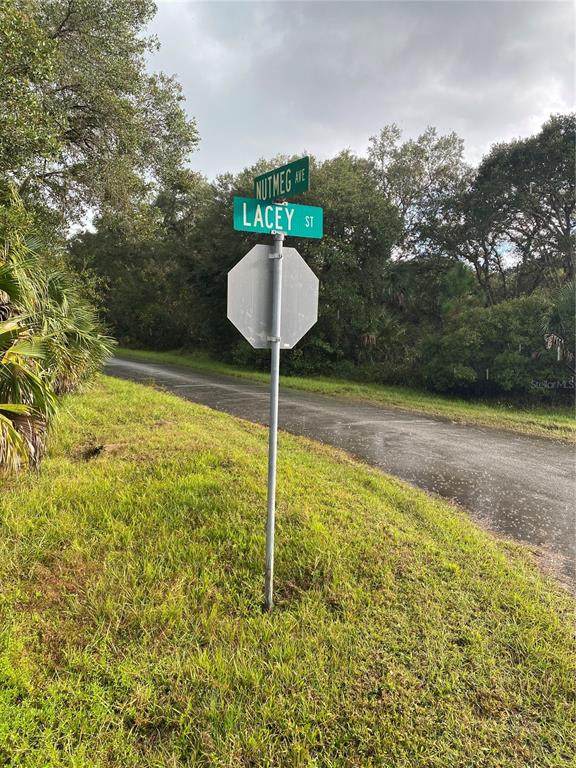 Nutmeg Avenue - Photo 1