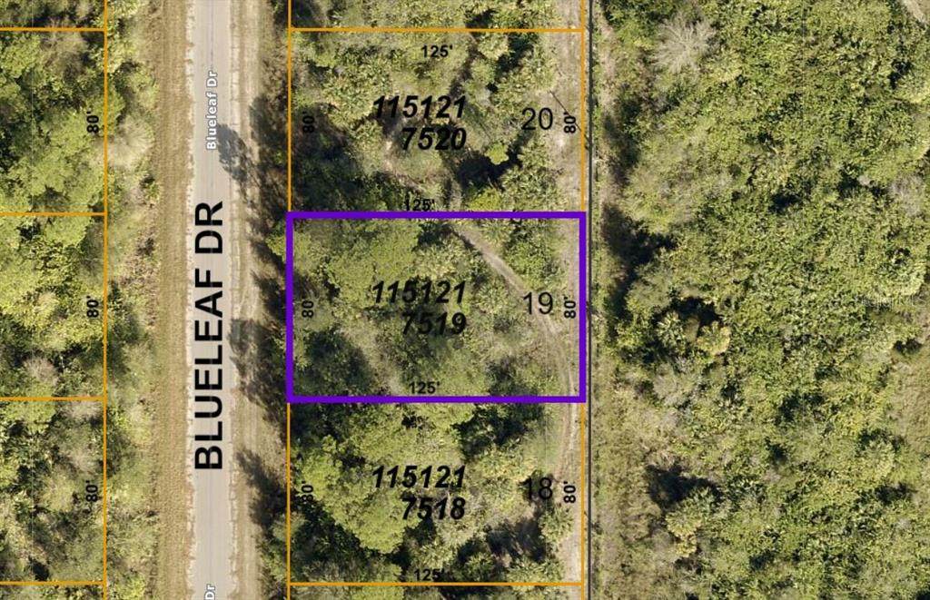 1151217519 Blueleaf Drive - Photo 1