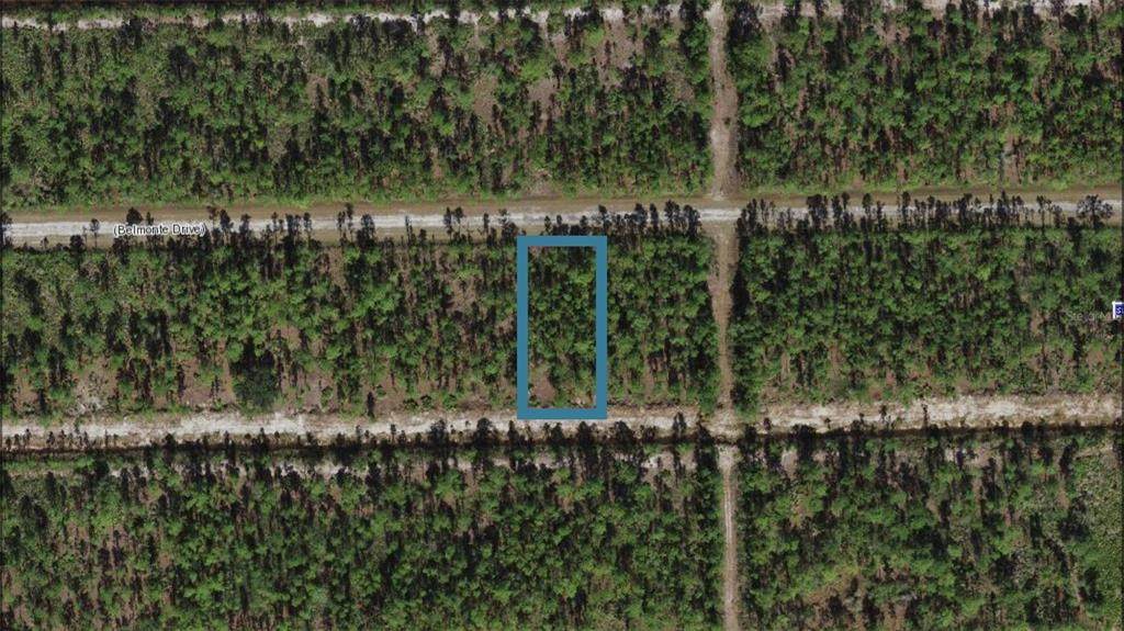 903 Belmonte Drive - Photo 1
