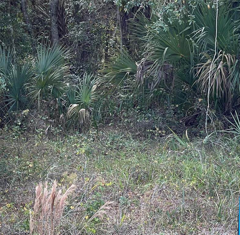 633 and 635 Tamiami Trail - Photo 1