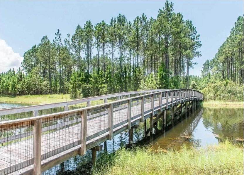 Creek Pines Circle - Photo 1