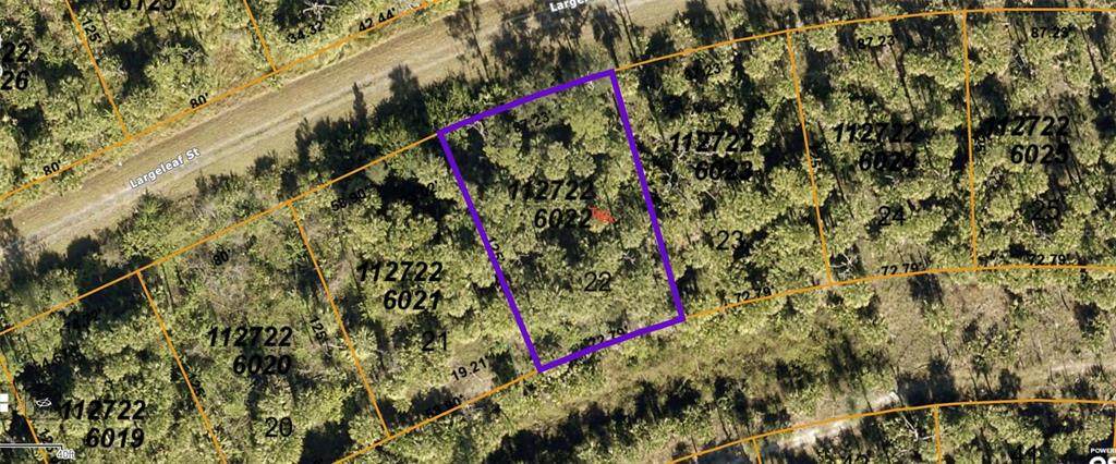 22 Largeleaf Street - Photo 1