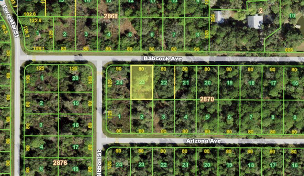 13045 Babcock Avenue - Photo 1