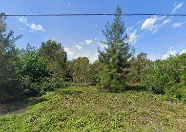 225 Orchid Drive - Photo 1