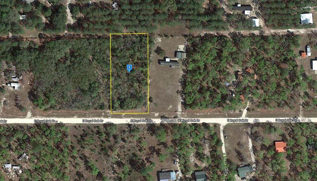 111 Royal Oak Drive - Photo 1