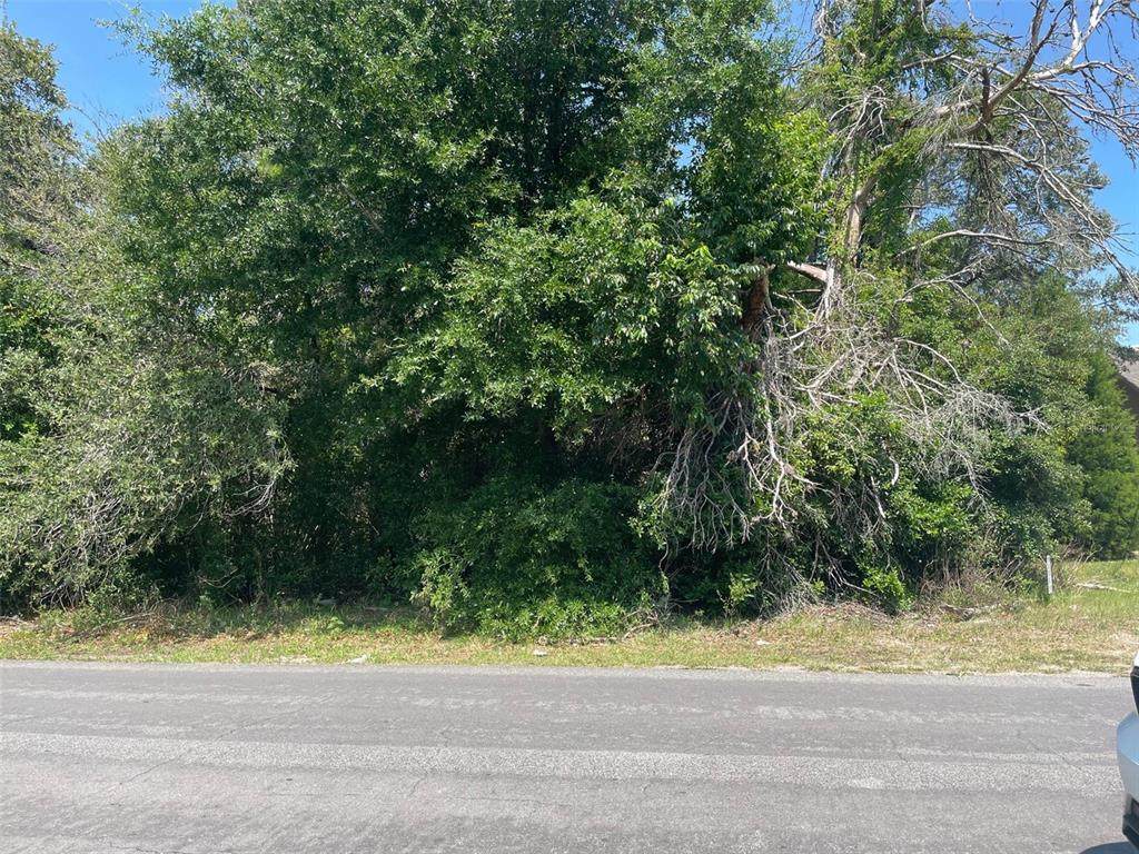 4126 Jason Road - Photo 1