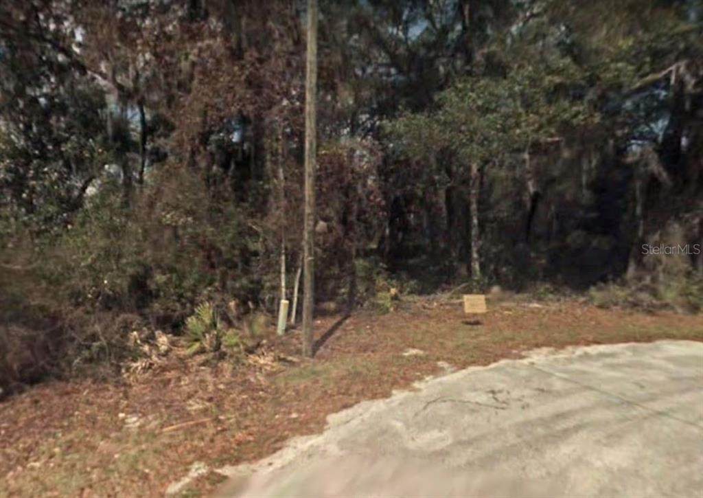 6790 Hartman Path - Photo 1