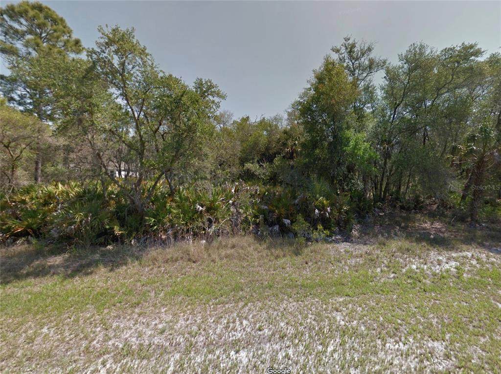 1412 Chaffin Lane - Photo 1