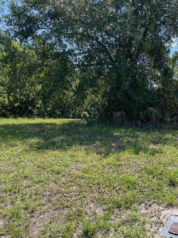 223 Antilla Drive - Photo 1