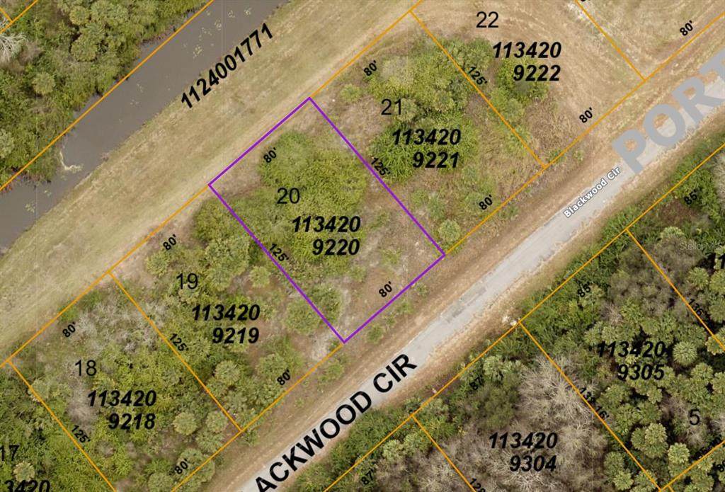 1134209220 Blackwood Circle - Photo 1