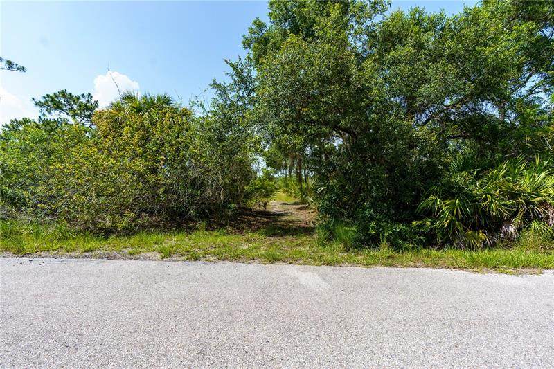 24758 Nova Lane - Photo 1