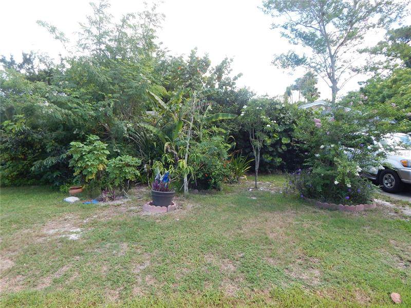 368 Periwinkle Road - Photo 1