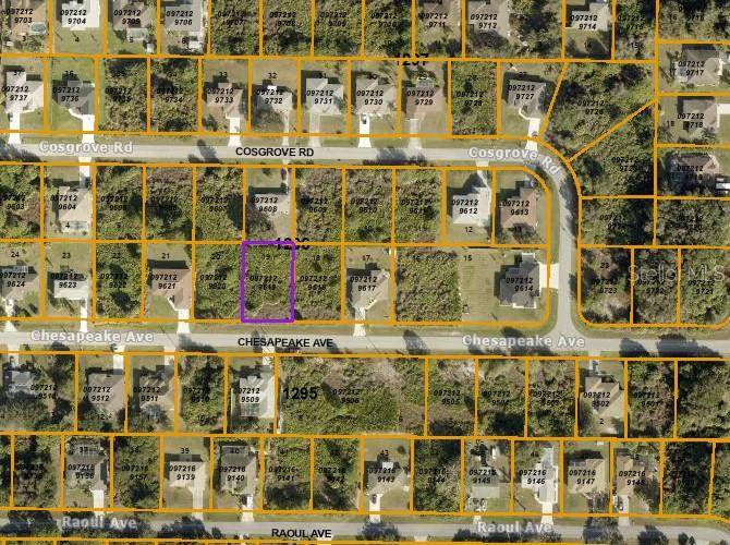 Chesapeake Avenue - Photo 1