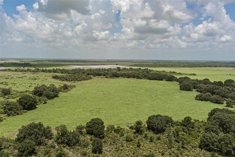 43355 Clay Gully Road - Photo 1