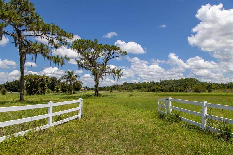 Singletary Road - Photo 1