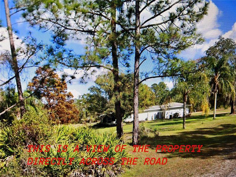 605 Plumosa Drive - Photo 1