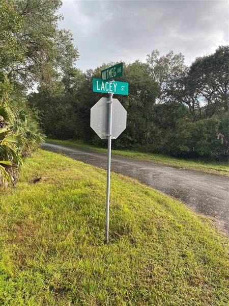 Nutmeg Avenue - Photo 1