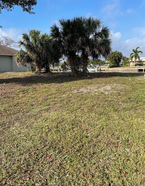 4319 Vasco Street - Photo 1