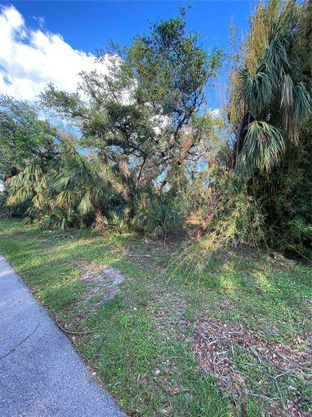 17364 Cox Avenue - Photo 1