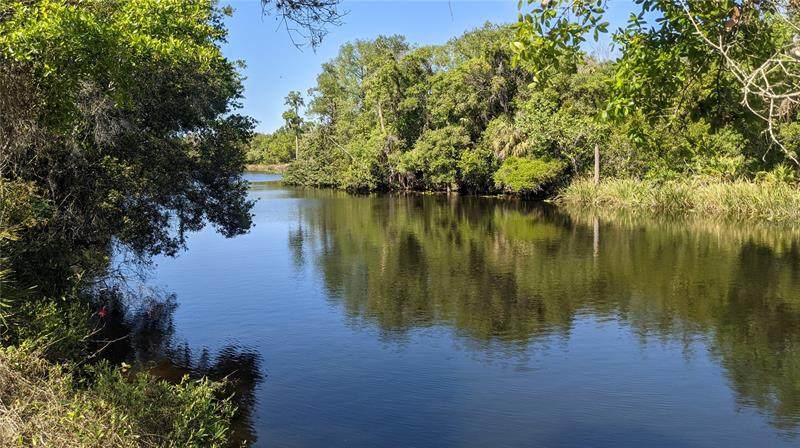 36051 Washington Loop Road - Photo 1
