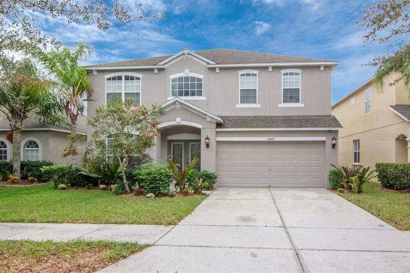 11447 Dutch Iris Drive - Photo 1