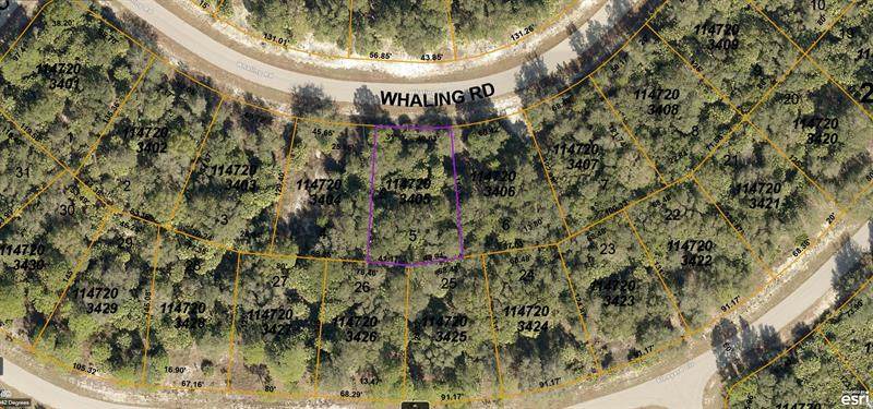 1147203405 Whaling Road - Photo 1