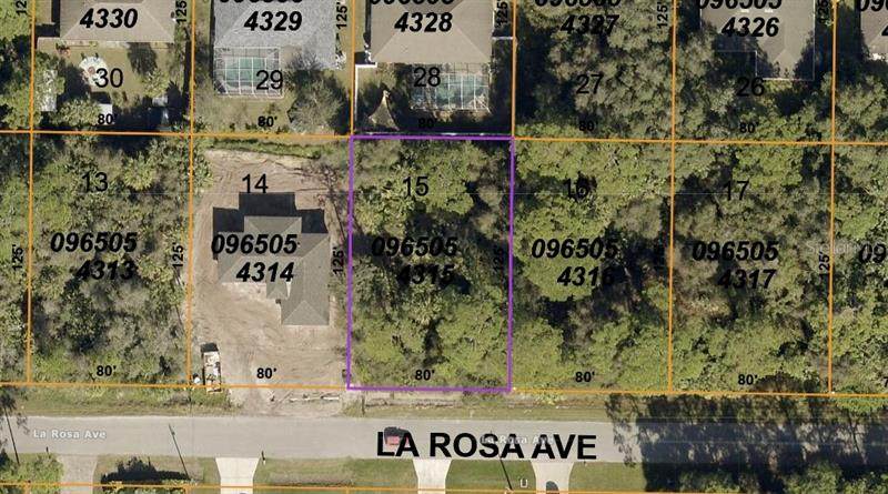 La Rosa Avenue - Photo 1