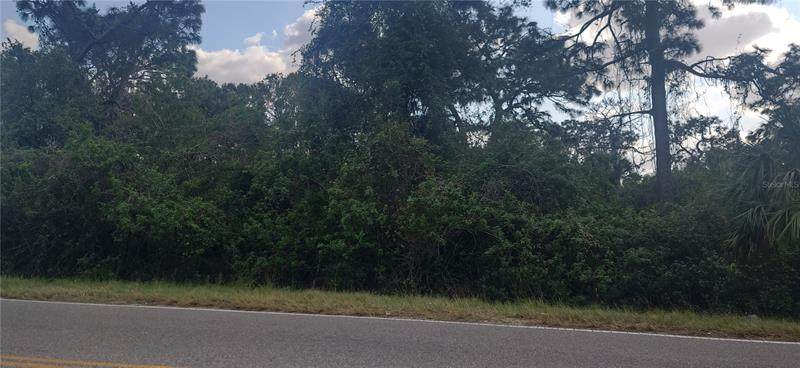 Landrum Street - Photo 1