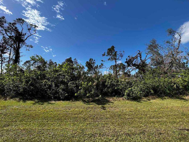 14531 San Domingo Boulevard - Photo 1