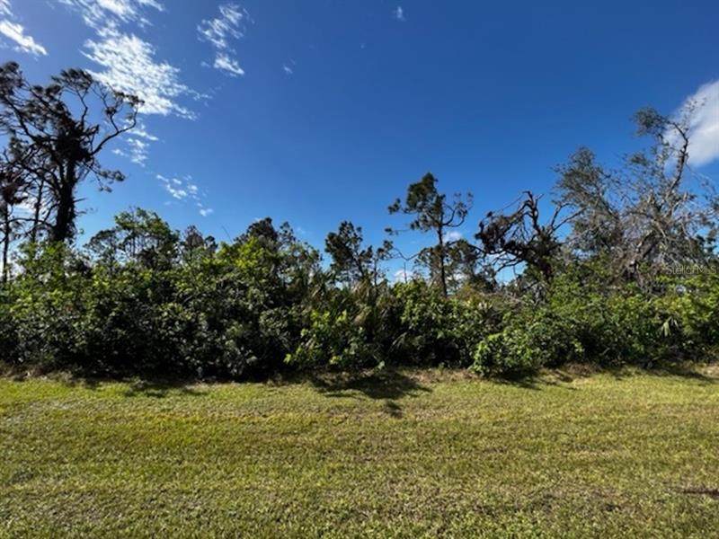 14523 San Domingo Boulevard - Photo 1