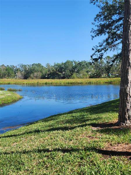 2061 Willow Hammock Circle - Photo 1