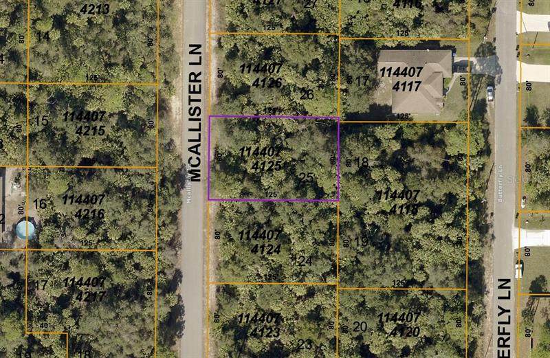 Mcallister Lane - Photo 1
