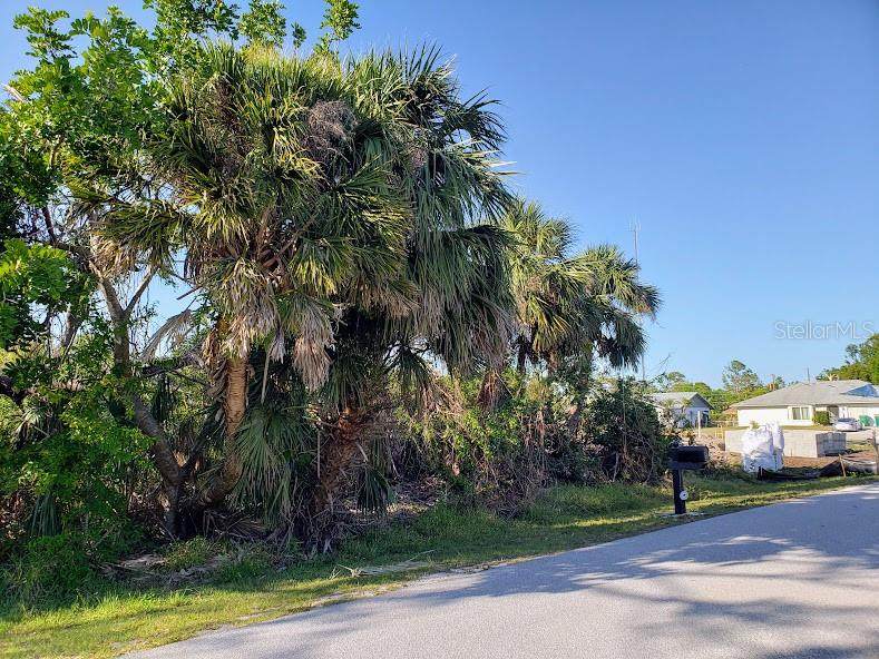 928 Tropical Avenue - Photo 1