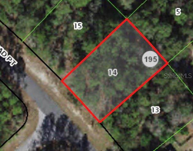 10101 Conrad Point - Photo 1