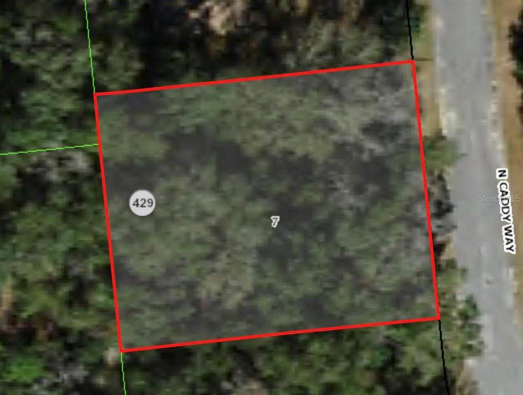 9020 Caddy Way - Photo 1