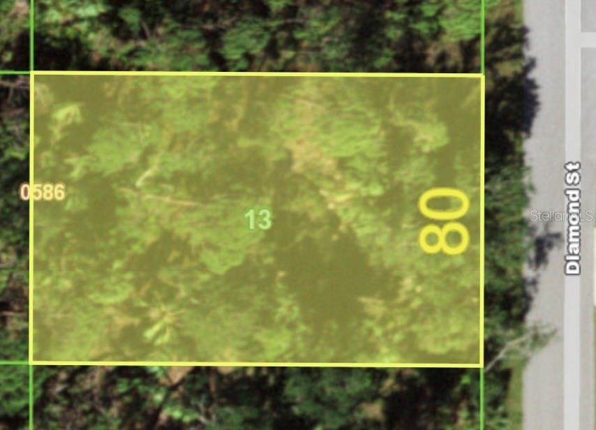 2329 Diamond Street - Photo 1