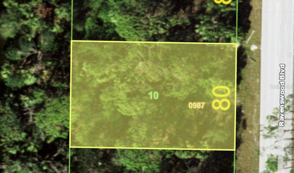 79 Ravenswood Boulevard - Photo 1