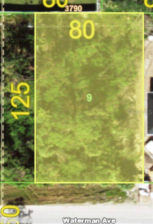 12006 Waterman Avenue - Photo 1