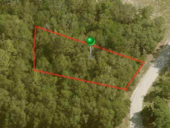 10112 Halsey Way - Photo 1